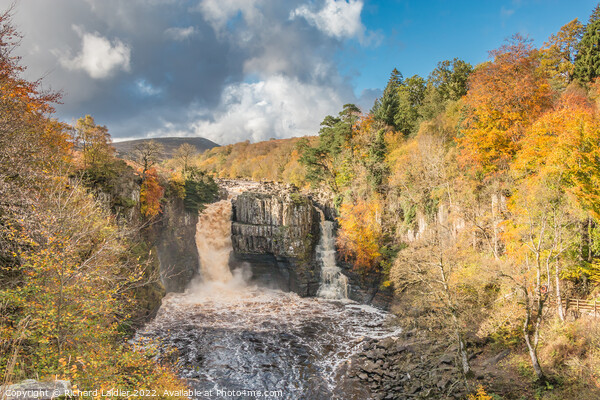 Autumn Splendour at High Force Waterfall, Teesdale Picture Board by Richard Laidler