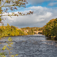 Buy canvas prints of Autumn on the River Tees at Barnard Castle, Teesdale by Richard Laidler