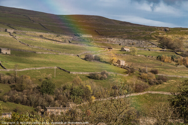 Swaledale Barns and Rainbow (2) Picture Board by Richard Laidler