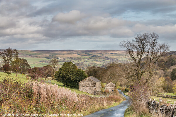 Walden North Road, Waldendale, Yorkshire Dales  Picture Board by Richard Laidler