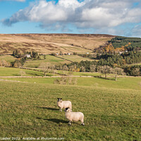 Buy canvas prints of Snaisgill from Aukside, Teesdale by Richard Laidler
