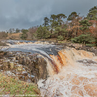 Buy canvas prints of Low Force from the Pennine Way Nov 2022 by Richard Laidler