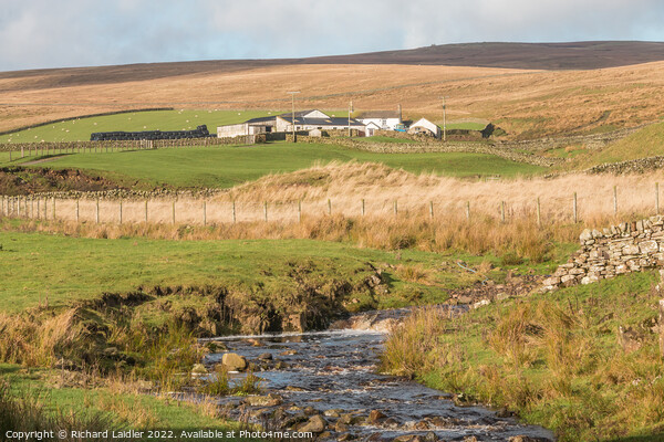 High Beck Head Farm, Ettersgill, Teesdale Picture Board by Richard Laidler