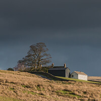 Buy canvas prints of Ash Hill Farm, Teesdale by Richard Laidler