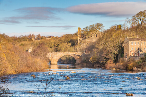 Winter Morning on the Tees at Barnard Castle, Teesdale Picture Board by Richard Laidler