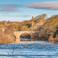 Buy canvas prints of Winter Morning on the Tees at Barnard Castle, Teesdale by Richard Laidler