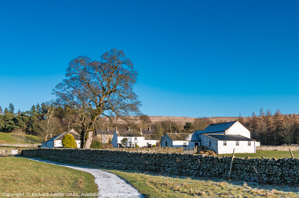 Bowlees Farm, Teesdale Picture Board by Richard Laidler