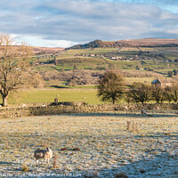 Buy canvas prints of Hill Top, Eggleston, Teesdale from the Railway Walk in Winter Sun by Richard Laidler