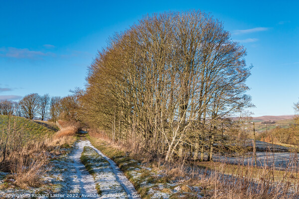 The Tees Railway Walk near Mickleton Picture Board by Richard Laidler