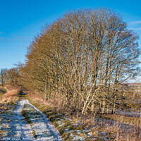 Buy canvas prints of The Tees Railway Walk near Mickleton by Richard Laidler