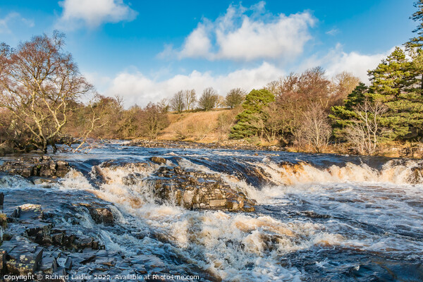 River Tees at Low Force Waterfall on Xmas Eve 2022 Picture Board by Richard Laidler