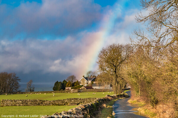 Another Lucky Teesdale Farmer Picture Board by Richard Laidler