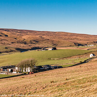 Buy canvas prints of Harwood Farms by Richard Laidler