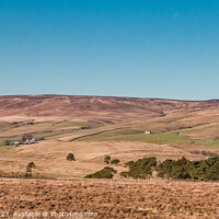 Buy canvas prints of Towards Harwood from the Cow Green Access Road by Richard Laidler