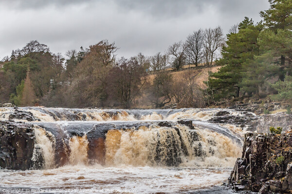 Low Force Waterfall in Spate Picture Board by Richard Laidler