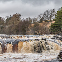Buy canvas prints of Low Force Waterfall in Spate by Richard Laidler