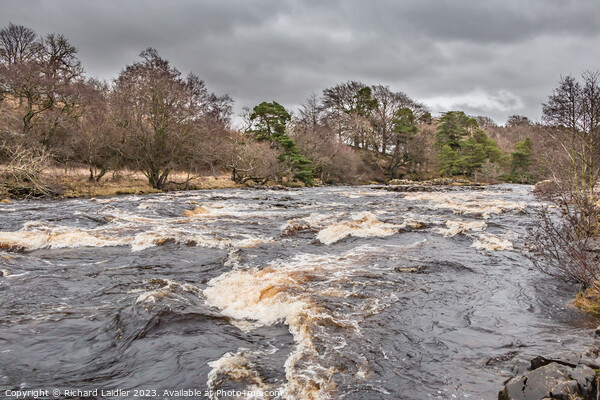 River Tees above Low Force Waterfall Picture Board by Richard Laidler