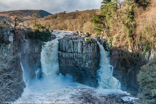 High Force Ferocity Picture Board by Richard Laidler