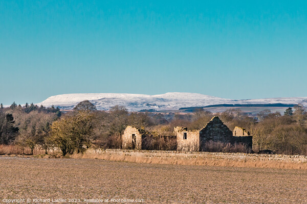 Snowy Cross Fell from Thorpe, Teesdale Picture Board by Richard Laidler