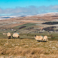 Buy canvas prints of Towards Middle Side, Teesdale, from the Kelton Road by Richard Laidler