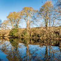 Buy canvas prints of River Tees Winter Reflections by Richard Laidler