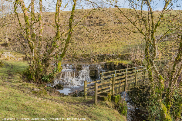 Footbridge and Waterfall on Ettersgill Beck, Teesdale Picture Board by Richard Laidler