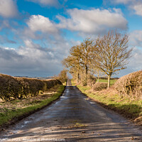 Buy canvas prints of Green Lane Sunshine and Shadows by Richard Laidler