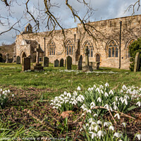Buy canvas prints of Snowdrops in St Marys Churchyard, Wycliffe, Teesdale by Richard Laidler