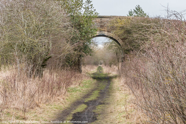 The Tees Railway Path at Cotherstone Picture Board by Richard Laidler