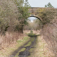 Buy canvas prints of The Tees Railway Path at Cotherstone by Richard Laidler