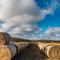Buy canvas prints of Bales and Sky at Thorpe  by Richard Laidler
