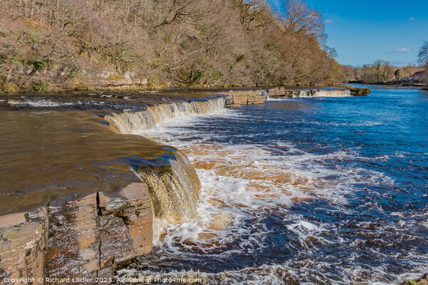 The River Tees at Whorlton Picture Board by Richard Laidler
