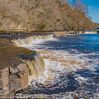 Buy canvas prints of The River Tees at Whorlton by Richard Laidler