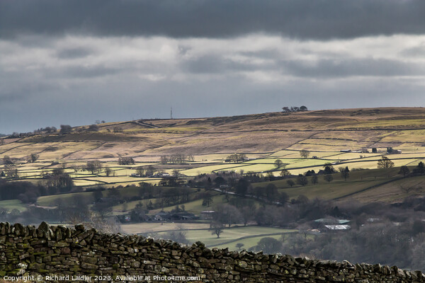 Bright Spot on Bail Hill, Teesdale Picture Board by Richard Laidler