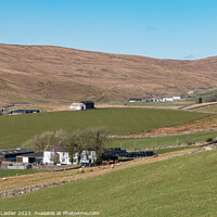 Buy canvas prints of Four Harwood Farms, Upper Teesdale by Richard Laidler
