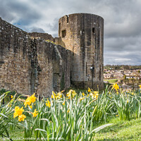 Buy canvas prints of Barnard Castle ruins from Scar Top (3) by Richard Laidler