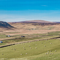 Buy canvas prints of Cronkley Scar and Widdybank Fell, Teesdale by Richard Laidler