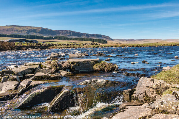 The River Tees at Cronkley Picture Board by Richard Laidler