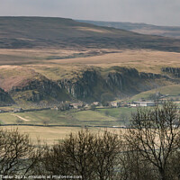 Buy canvas prints of Spring Brightness on Holwick, Teesdale  by Richard Laidler