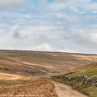 Buy canvas prints of The Hudes Hope, Teesdale, in Early Spring (1) by Richard Laidler