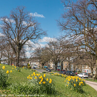 Buy canvas prints of Middleton in Teesdale Village Green in Spring by Richard Laidler