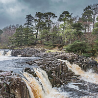 Buy canvas prints of A Damp Day at Low Force Waterfall in Spring (1) by Richard Laidler