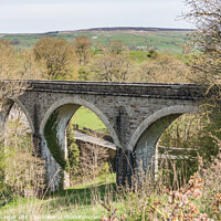 Buy canvas prints of Lune Railway Viaduct by Richard Laidler