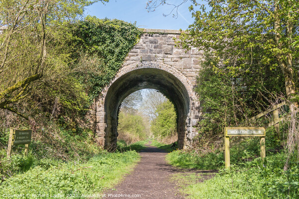 Tees Railway Walk at Mickleton Picture Board by Richard Laidler