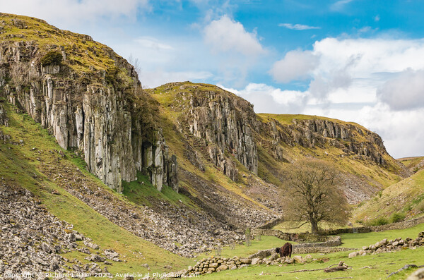 Holwick Scar, Teesdale (1) Picture Board by Richard Laidler