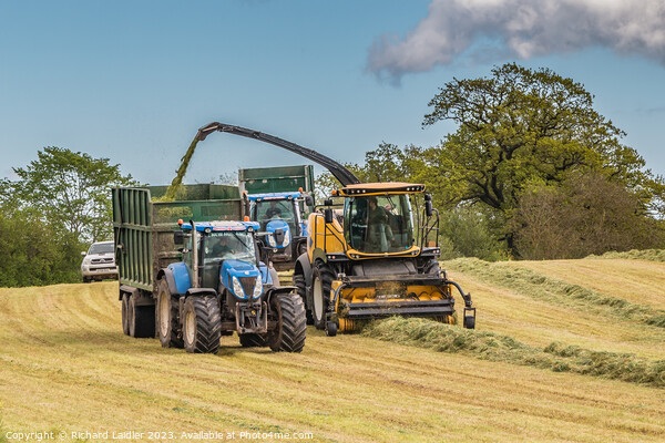 Silage Making Near Ovington (3) Picture Board by Richard Laidler