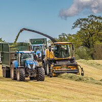 Buy canvas prints of Silage Making Near Ovington (3) by Richard Laidler