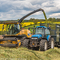 Buy canvas prints of Silage Making Near Ovington (2) by Richard Laidler