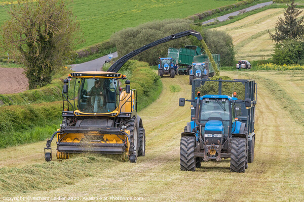 Silage Making Near Ovington (1) Picture Board by Richard Laidler