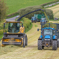 Buy canvas prints of Silage Making Near Ovington (1) by Richard Laidler